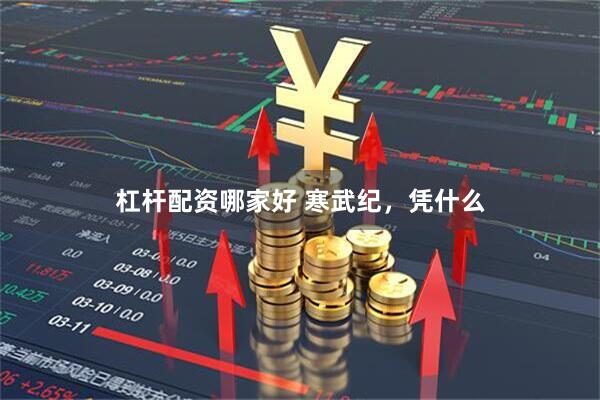 杠杆配资哪家好 寒武纪，凭什么