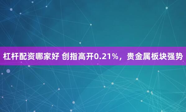 杠杆配资哪家好 创指高开0.21%，贵金属板块强势