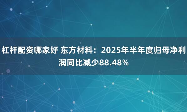 杠杆配资哪家好 东方材料：2025年半年度归母净利润同比减少88.48%