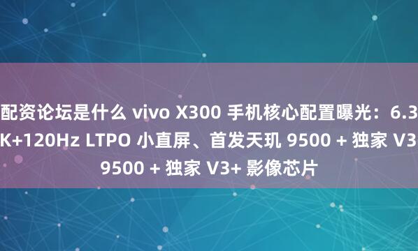 配资论坛是什么 vivo X300 手机核心配置曝光：6.31 英寸 1.5K+120Hz LTPO 小直屏、首发天玑 9500 + 独家 V3+ 影像芯片