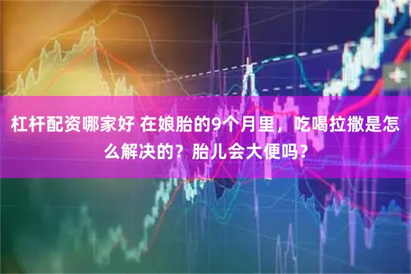 杠杆配资哪家好 在娘胎的9个月里，吃喝拉撒是怎么解决的？胎儿会大便吗？