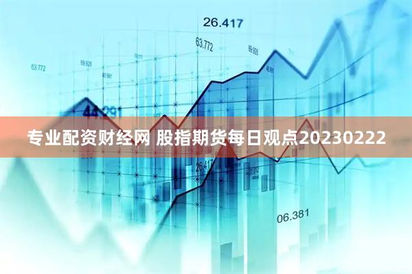专业配资财经网 股指期货每日观点20230222