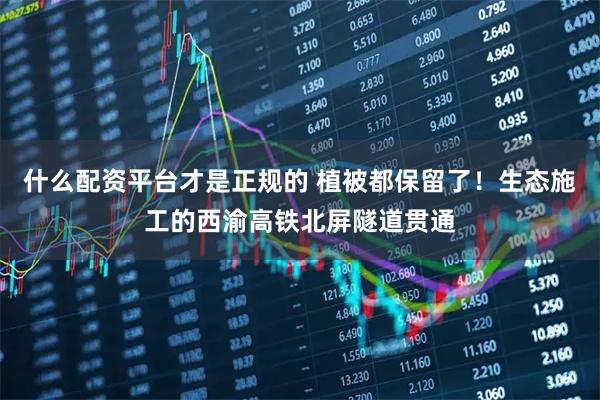 什么配资平台才是正规的 植被都保留了！生态施工的西渝高铁北屏隧道贯通