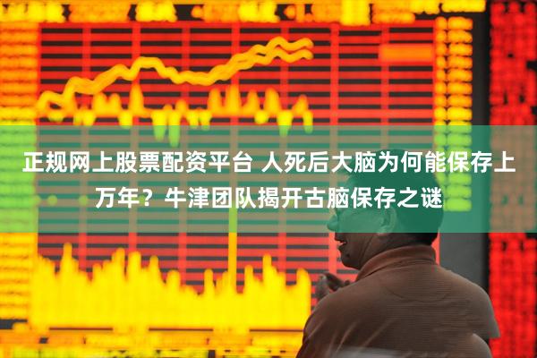 正规网上股票配资平台 人死后大脑为何能保存上万年？牛津团队揭开古脑保存之谜